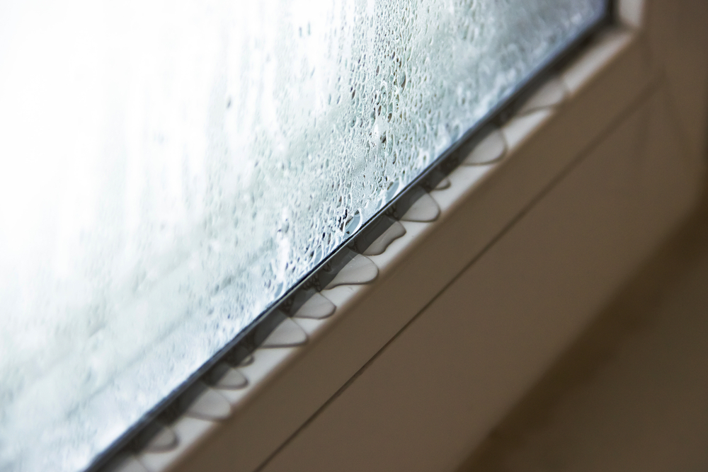 Window condensation